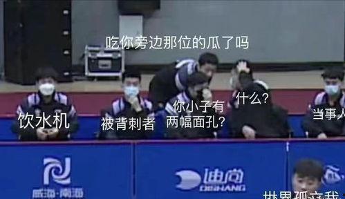 国乒吃瓜主场,吃瓜群众见证辉煌时刻 第2张 国乒吃瓜主场,吃瓜群众见证辉煌时刻 第2张