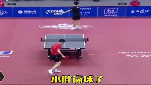 国乒吃瓜主场,吃瓜群众见证辉煌时刻 第3张 国乒吃瓜主场,吃瓜群众见证辉煌时刻 第3张