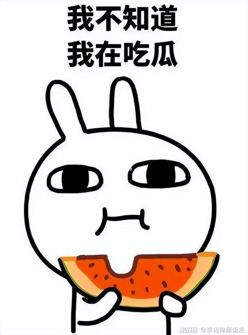 吃瓜群q码,一场网络社交的狂欢盛宴 第1张 吃瓜群q码,一场网络社交的狂欢盛宴 第1张