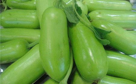 吃蒲瓜后吐泻,吃后吐泻的警示与应对 第1张 吃蒲瓜后吐泻,吃后吐泻的警示与应对 第1张