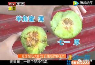 懒人吃瓜的好处,轻松享受娱乐盛宴的秘诀 第3张 懒人吃瓜的好处,轻松享受娱乐盛宴的秘诀 第3张