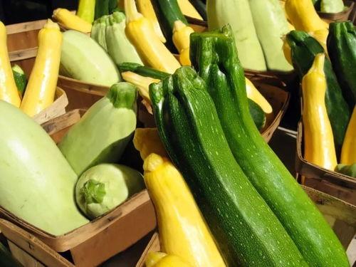 吃太多瓜想吐,吃太多瓜想吐的应对攻略 第1张 吃太多瓜想吐,吃太多瓜想吐的应对攻略 第1张