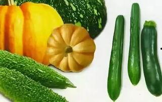 吃太多瓜想吐,吃太多瓜想吐的应对攻略 第2张 吃太多瓜想吐,吃太多瓜想吐的应对攻略 第2张