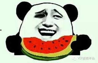 吃瓜群众被惊呆 第3张 吃瓜群众被惊呆 第3张