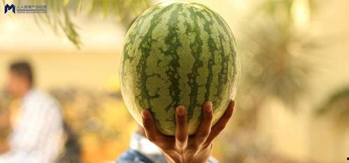 最近网友吃瓜事件,最新吃瓜事件,揭秘幕后真相! 第3张 最近网友吃瓜事件,最新吃瓜事件,揭秘幕后真相! 第3张