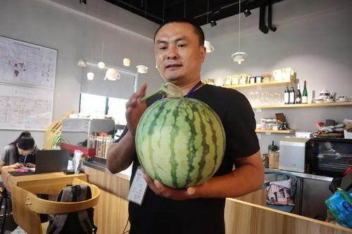 各官员吃瓜 第2张 各官员吃瓜 第2张