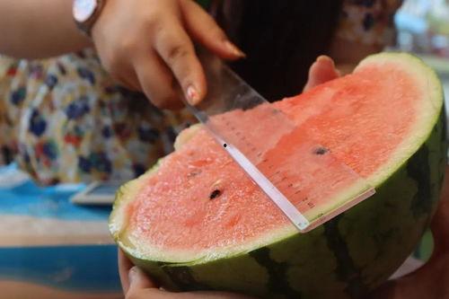 各官员吃瓜 第3张 各官员吃瓜 第3张