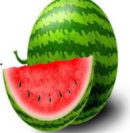 吃脆瓜会胖么,吃脆瓜真的会胖吗? 第1张 吃脆瓜会胖么,吃脆瓜真的会胖吗? 第1张