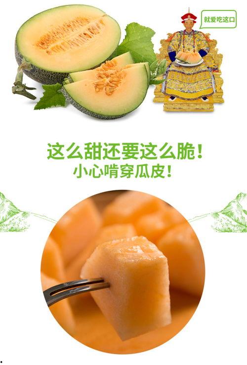 小胖吃蜜瓜,小胖甜蜜蜜瓜之旅  第3张