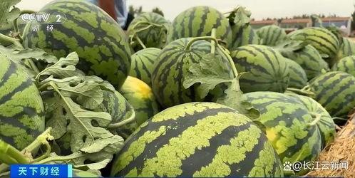 吃瓜网热门,揭秘娱乐圈最新热点事件 第1张 吃瓜网热门,揭秘娱乐圈最新热点事件 第1张