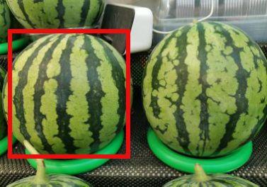 吃瓜网热门,揭秘娱乐圈最新热点事件 第3张 吃瓜网热门,揭秘娱乐圈最新热点事件 第3张