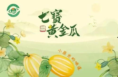 月下吃瓜人作品,揭秘都市生活背后的秘密 第1张 月下吃瓜人作品,揭秘都市生活背后的秘密 第1张