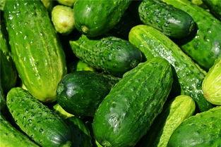 梦见别人吃大生瓜,揭秘梦中他人品尝大生瓜的神秘寓意 第2张 梦见别人吃大生瓜,揭秘梦中他人品尝大生瓜的神秘寓意 第2张