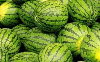 今日吃瓜大赛有啥瓜 第2张 今日吃瓜大赛有啥瓜 第2张