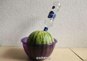 带你吃瓜驾照,带你领略驾照背后的趣味故事  第1张