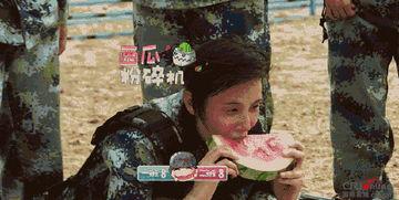 带你吃瓜驾照,带你领略驾照背后的趣味故事  第2张