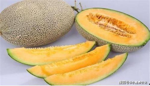 吃麻瓜和哈密瓜,探寻瓜类美食的奇妙之旅  第3张