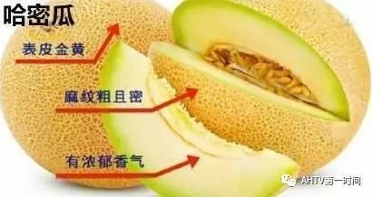 没牙怎么吃瓜  第3张