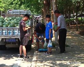 雷山吃瓜群众,揭秘当地独特民俗风情  第1张