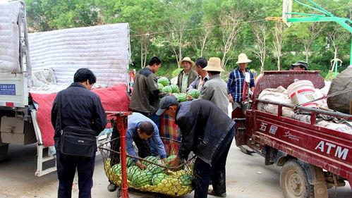 雷山吃瓜群众,揭秘当地独特民俗风情  第3张
