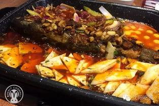 吃瓜群众鱼块  第3张