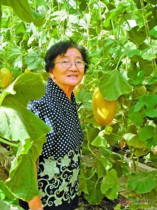 陈西吃瓜,揭秘娱乐圈幕后故事  第2张