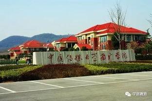 南广学院吃瓜,揭秘校园热点背后的故事  第1张