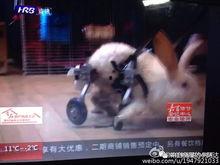 吃瓜的阿达,揭秘娱乐圈幕后故事  第2张
