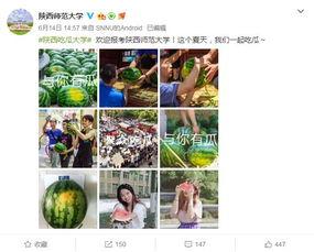花样吃瓜直播  第3张
